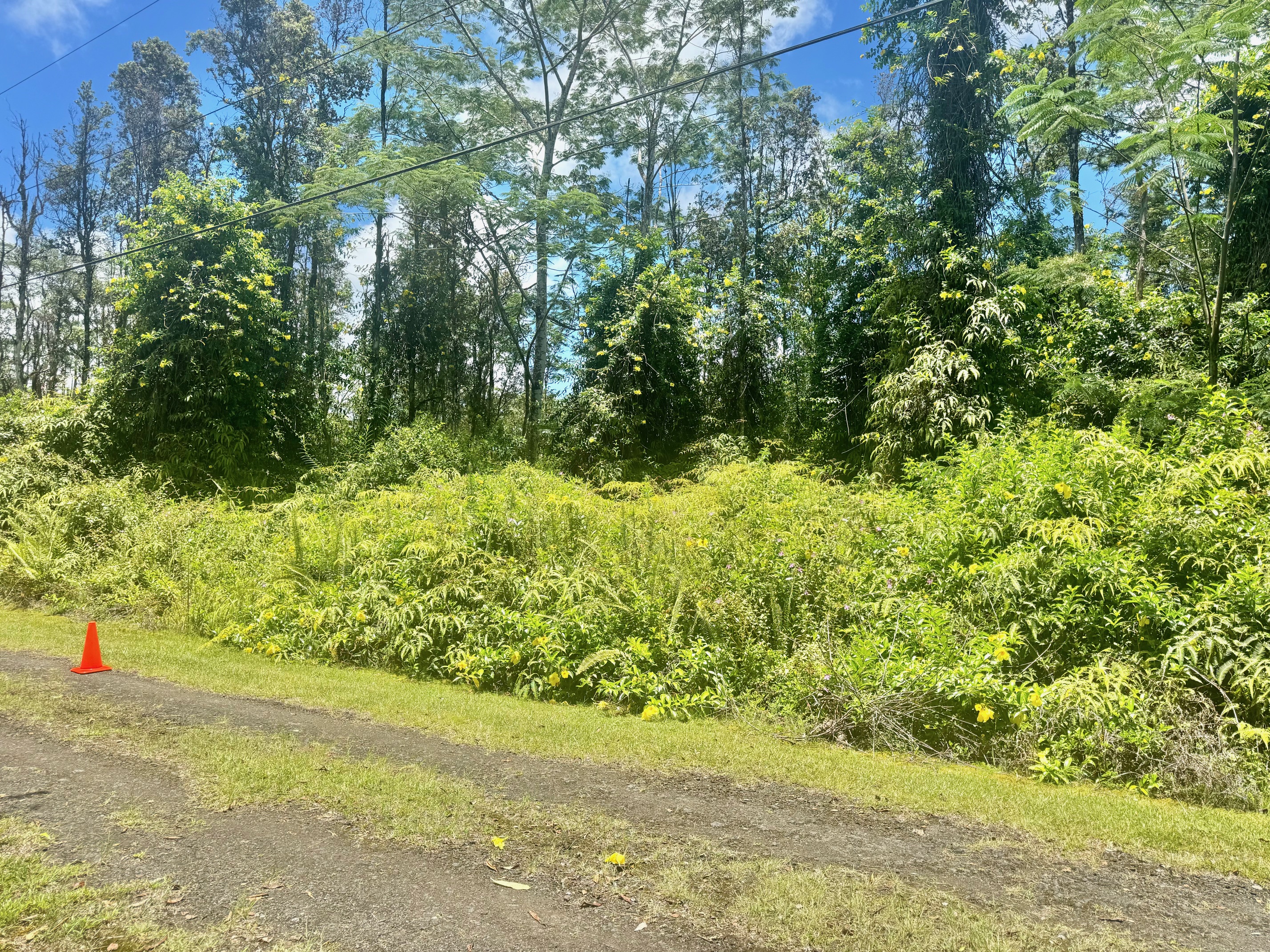 585 Puna Road Pahoa, HI 96778 - Photo 5 of 10 a view of yard with green space