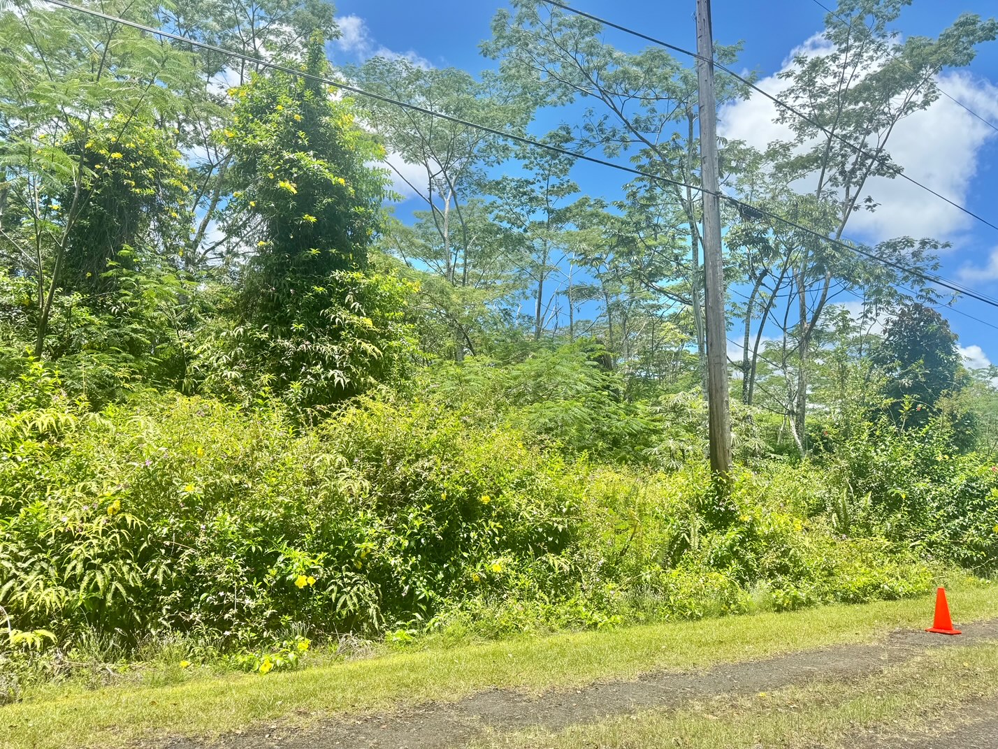585 Puna Road Pahoa, HI 96778 - Photo 6 of 10 a backyard of a house with lots of green space and tree