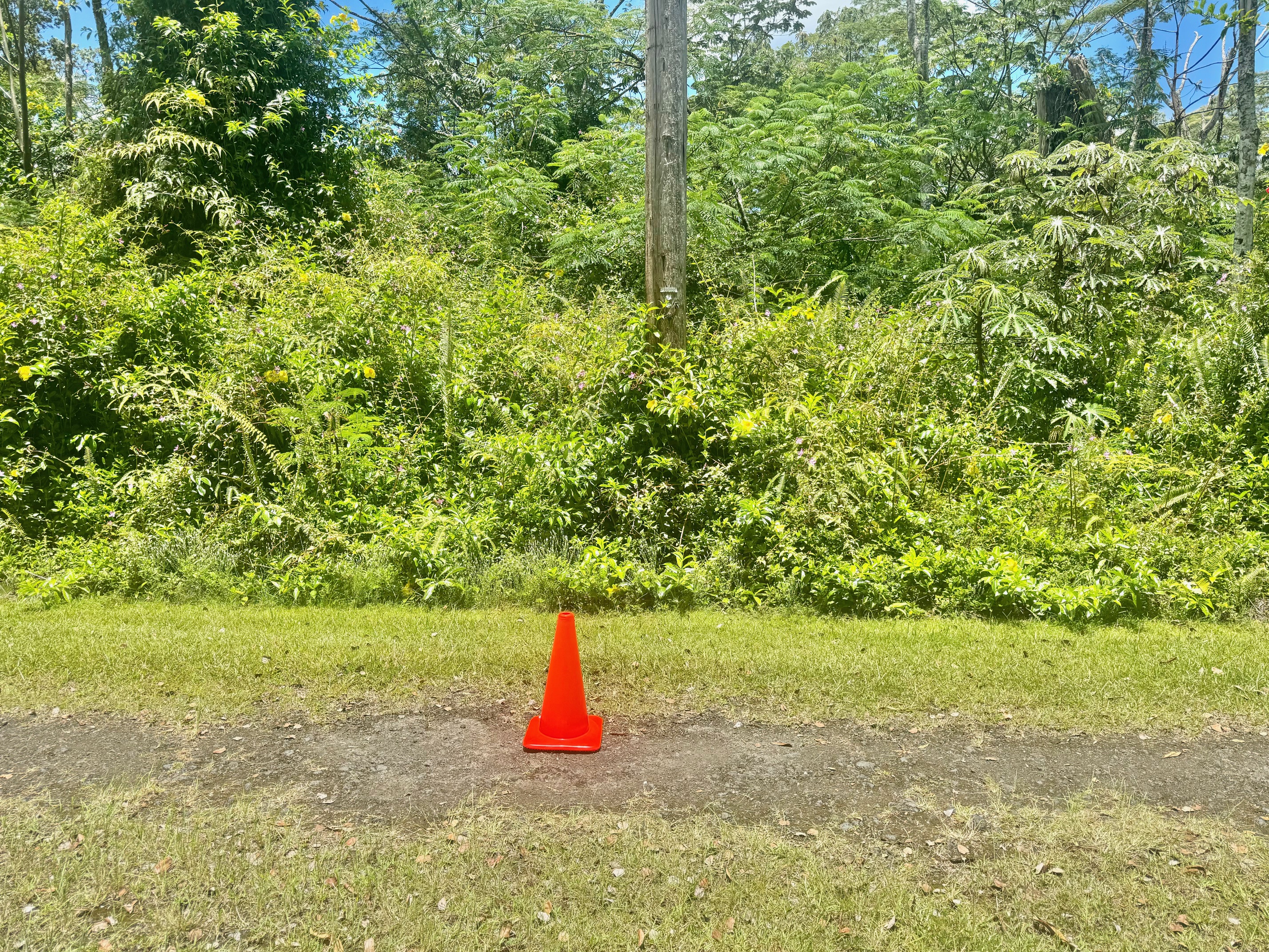 585 Puna Road Pahoa, HI 96778 - Photo 8 of 10 a fire hydrant in the middle of a field