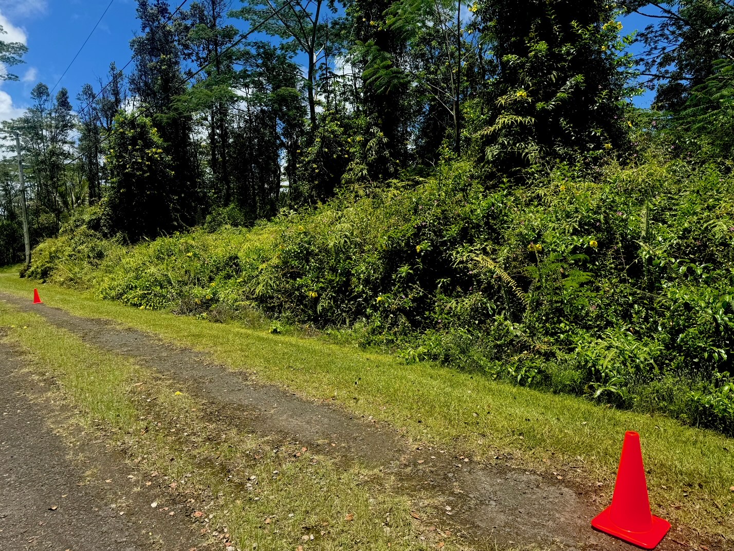 585 Puna Road Pahoa, HI 96778 - Photo 9 of 10 a backyard of a house with lots of green space
