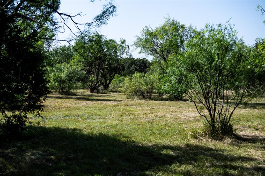 235 Big Bear Loop Strawn, TX 76475 - Photo 13 of 40 a view of outdoor space