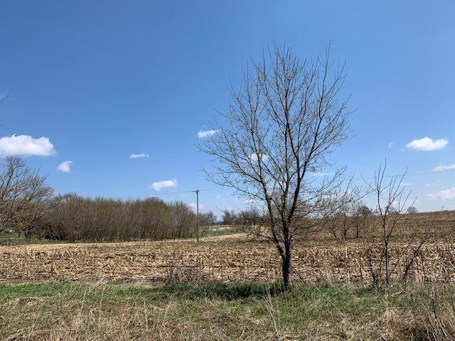 2517 Notten Road Grass Lake, MI 49240 - Photo 10 of 12 Photo 10
