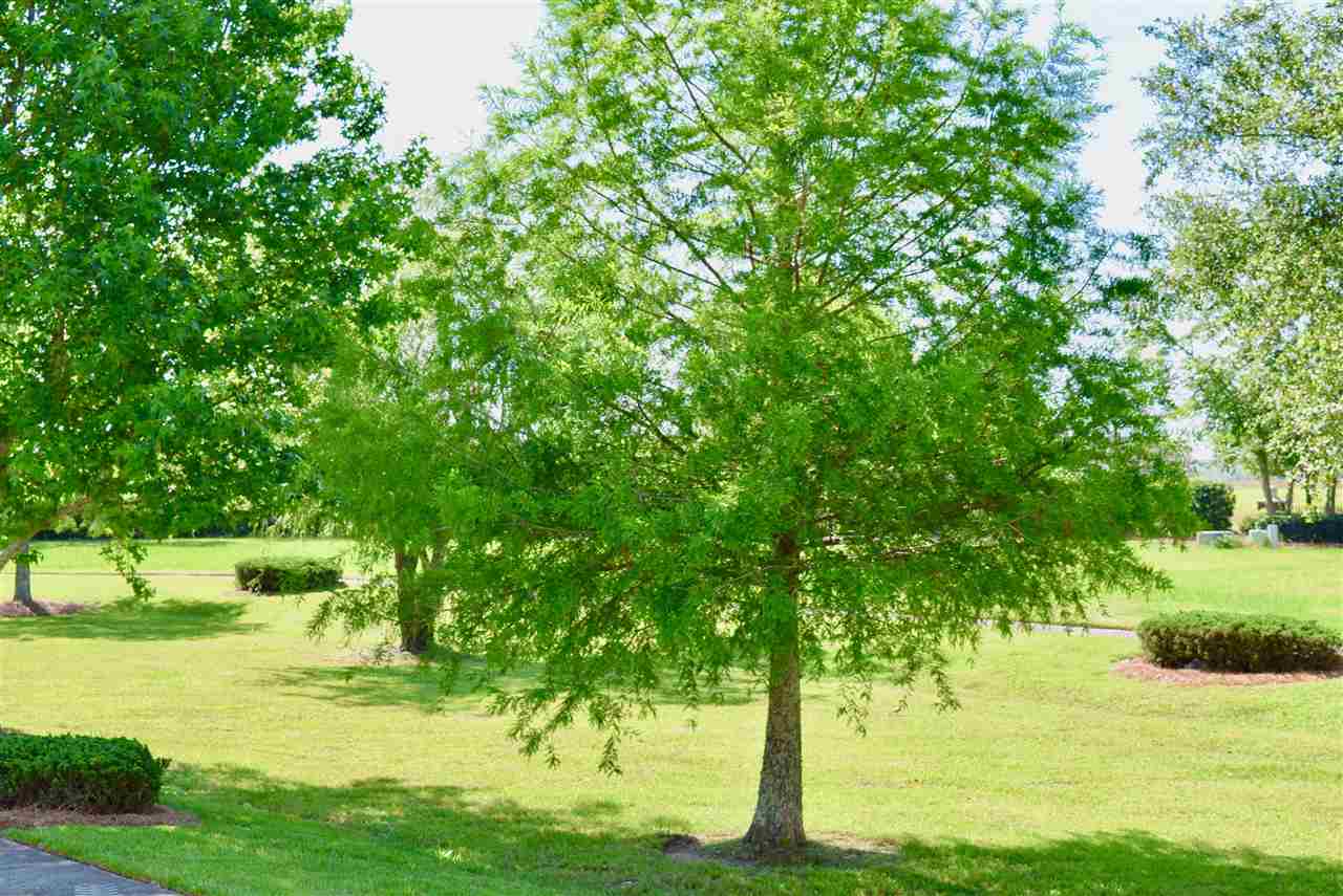 Lot 158 Pink Poppy Lane Foley, AL 36535 - Photo 8 of 8 Common Area Landscaping
