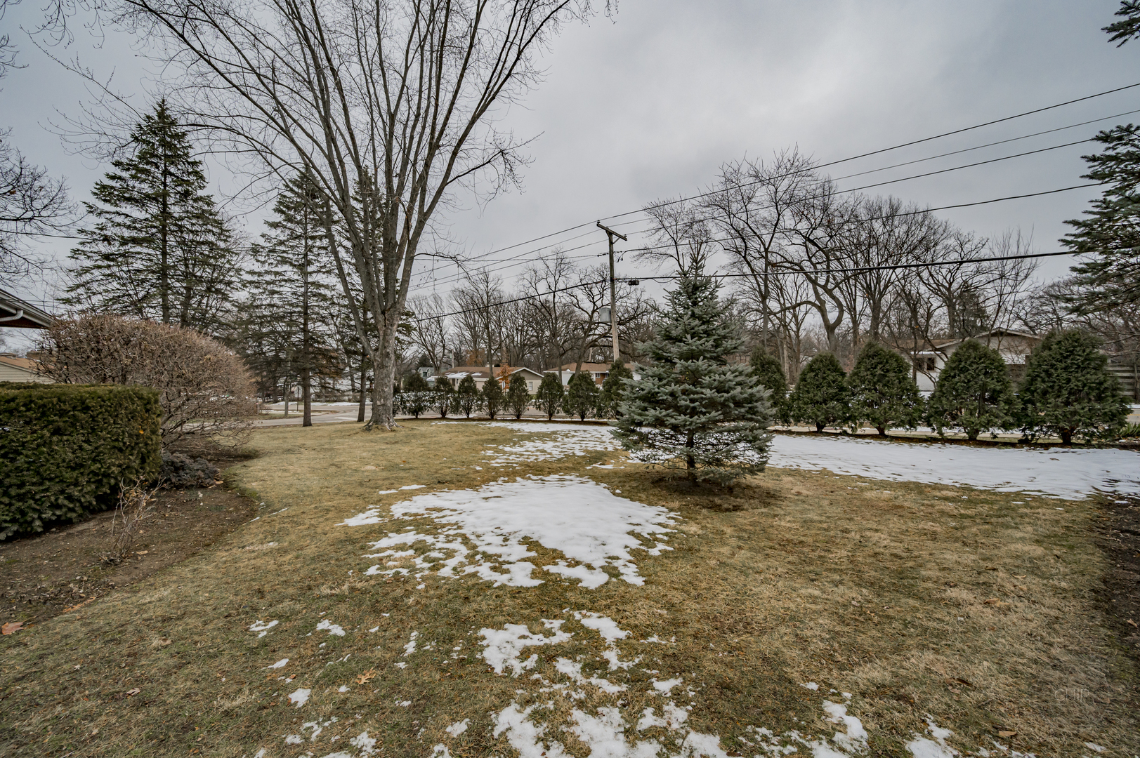 S528 Forest Street Winfield, IL 60190 - Photo 29 of 35 a view of a bench in the middle of a yard