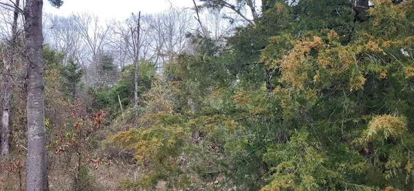 $360,000 | 2260 County Road 1439, Yantis, TX 75497