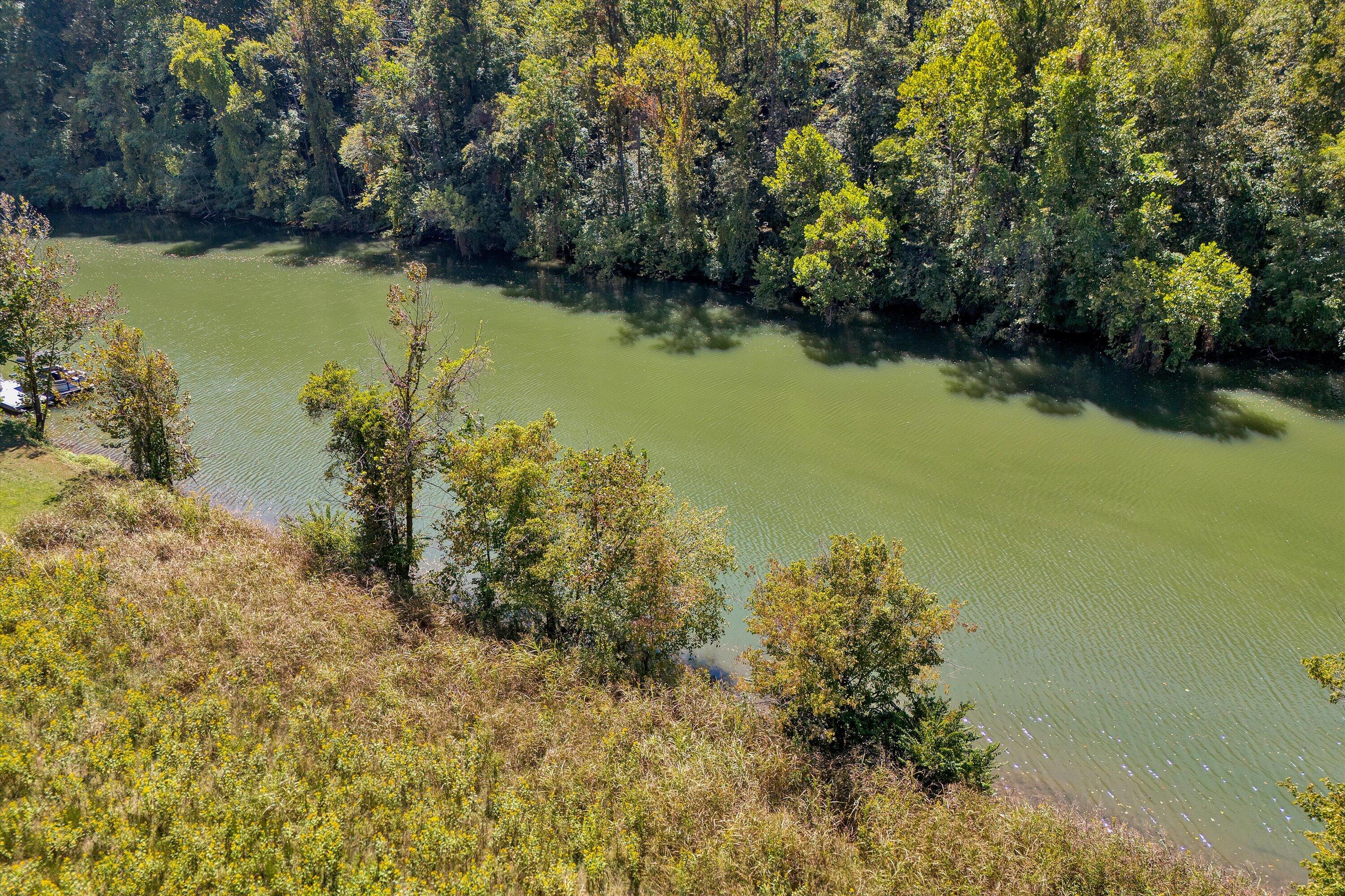Lot 24 River Rock Road Vinton, VA 24179 - Photo 7 of 9 a view of a lake with a yard