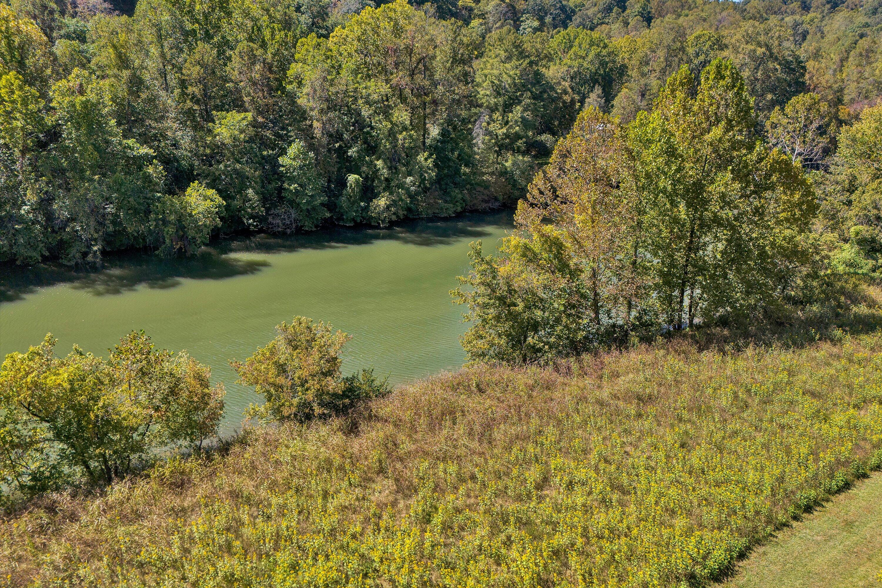 Lot 24 River Rock Road Vinton, VA 24179 - Photo 8 of 9 a view of a lake with a yard