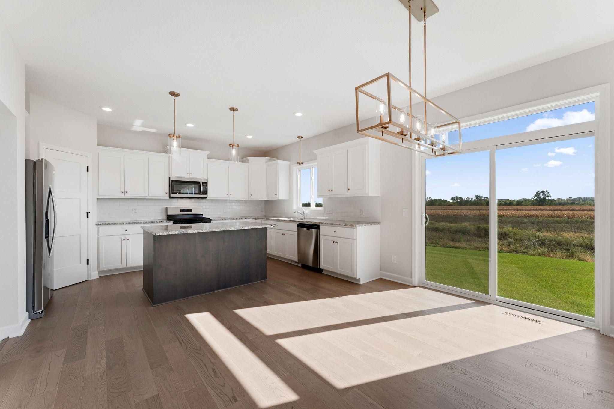 1292 Ardcurra Row Rosemount, MN 55068 - Photo 3 of 17