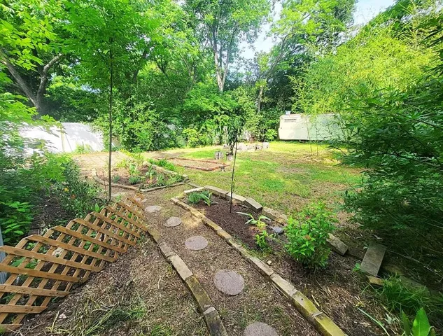 a view of a yard with plants