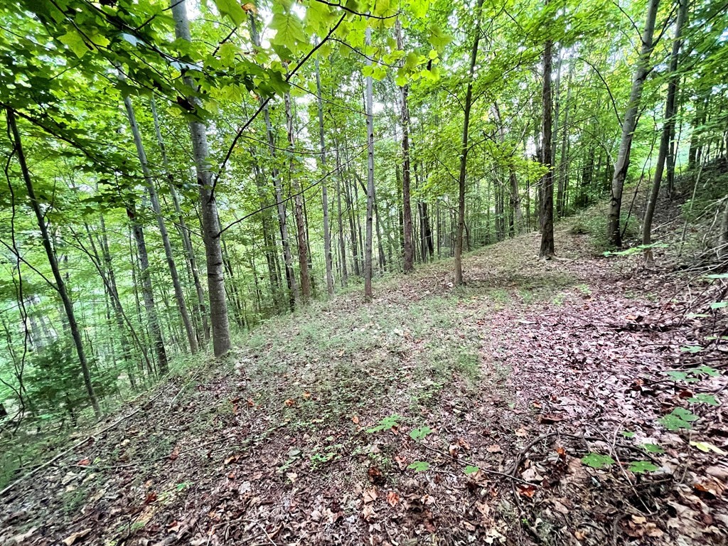 4060 Ridgeback Lane Sevierville, TN 37862 - Photo 7 of 24