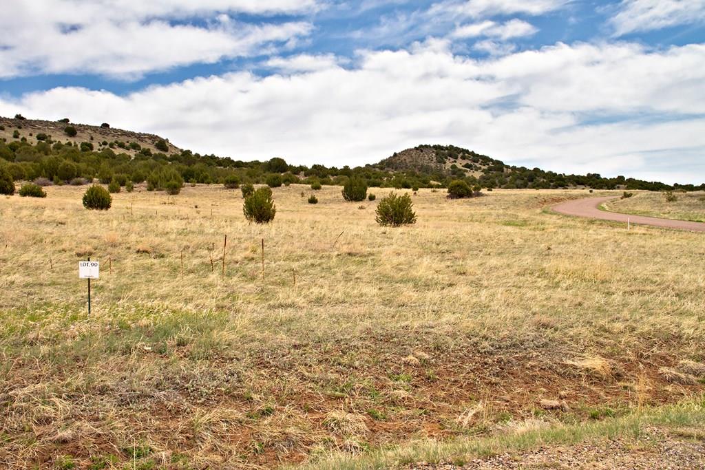 Tbd Garrett Road Beulah, CO 81023 - Photo 16 of 42 Gallery Image 16