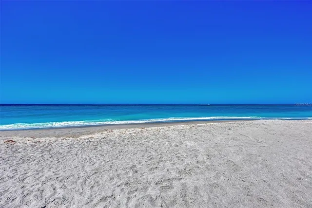 a view of city with ocean
