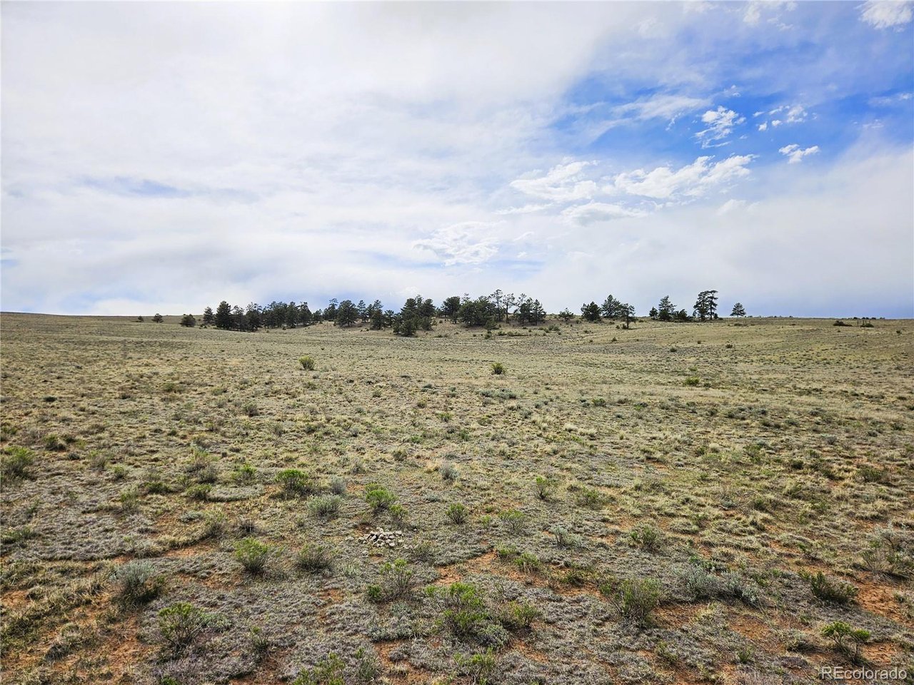 24131 Chato Road Hartsel, CO 80449 - Photo 23 of 28