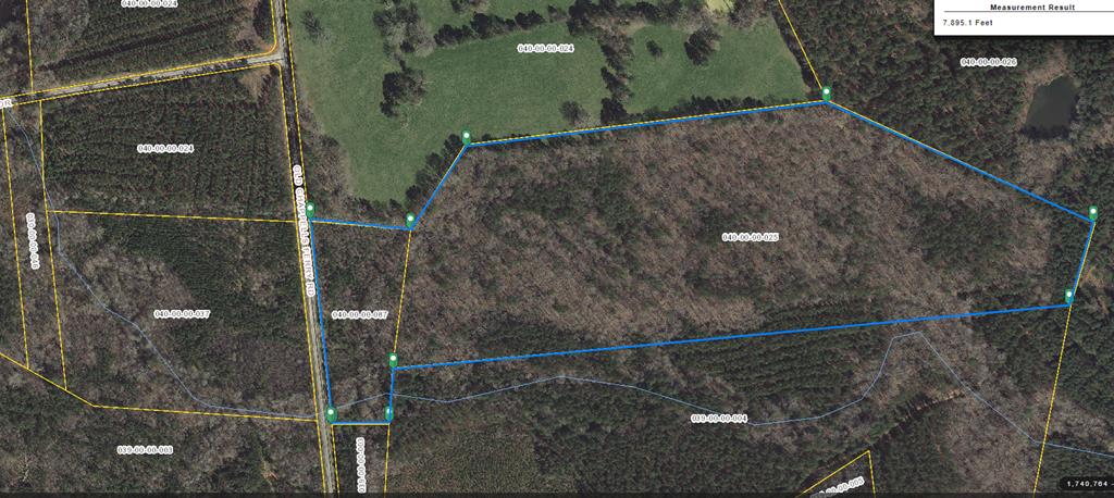 0 Old Chappell Ferry Road Johnston, SC 29832 - Photo 5 of 5 Gallery Image 5