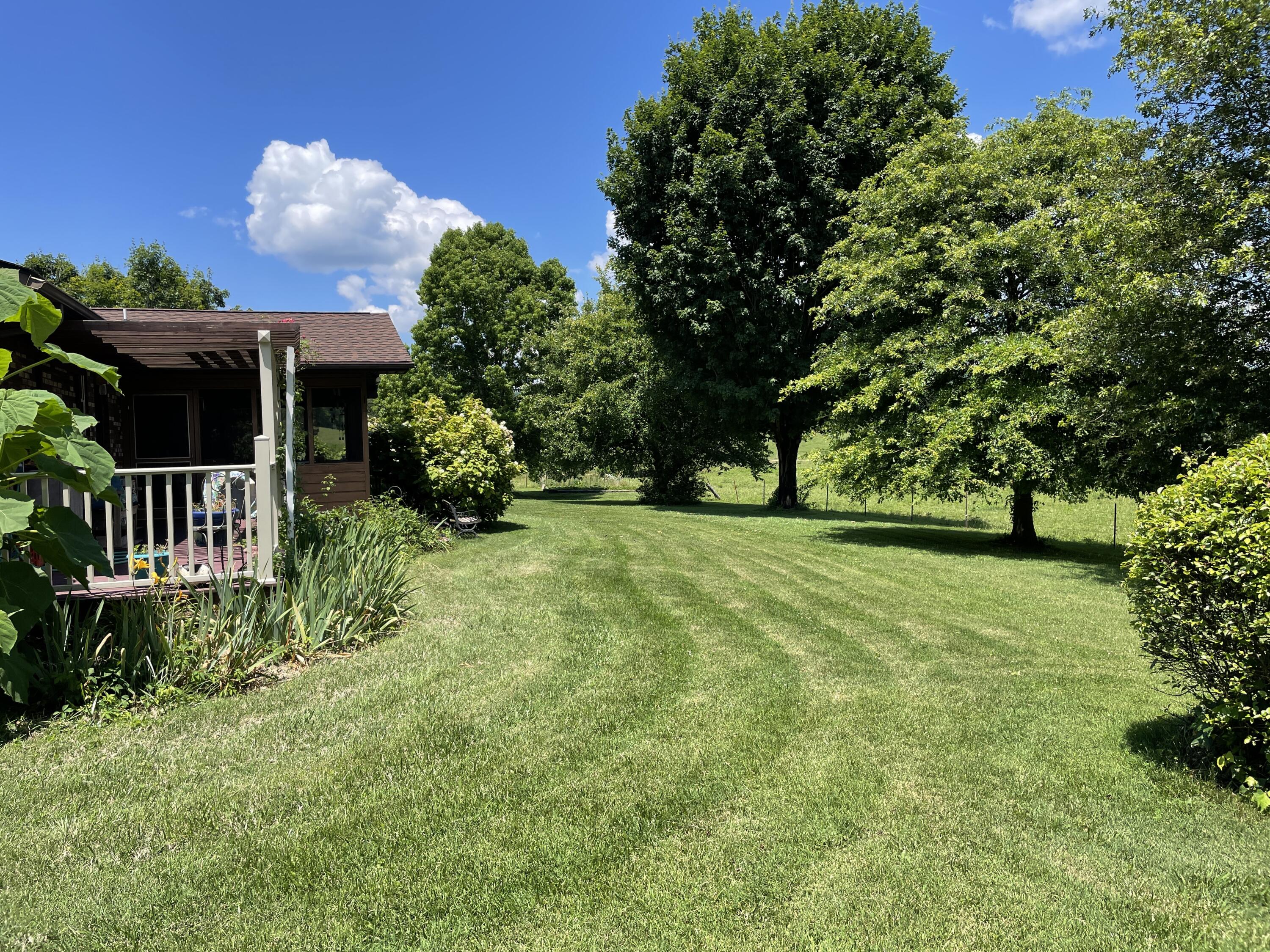 3816 Abbott Road Sevierville, TN 37862 - Photo 4 of 29 Abbott - backyard