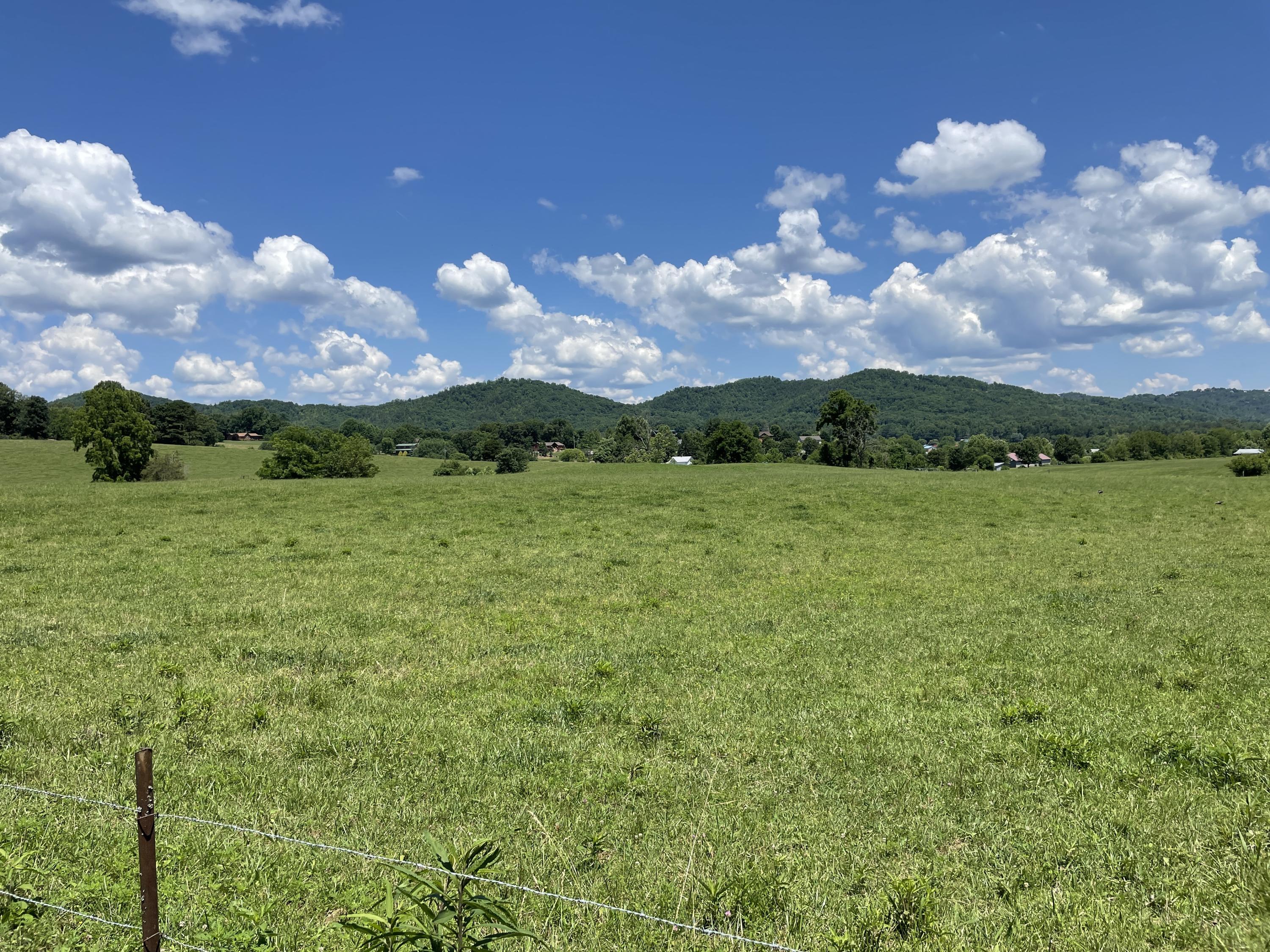 3816 Abbott Road Sevierville, TN 37862 - Photo 5 of 29 Abbott - view