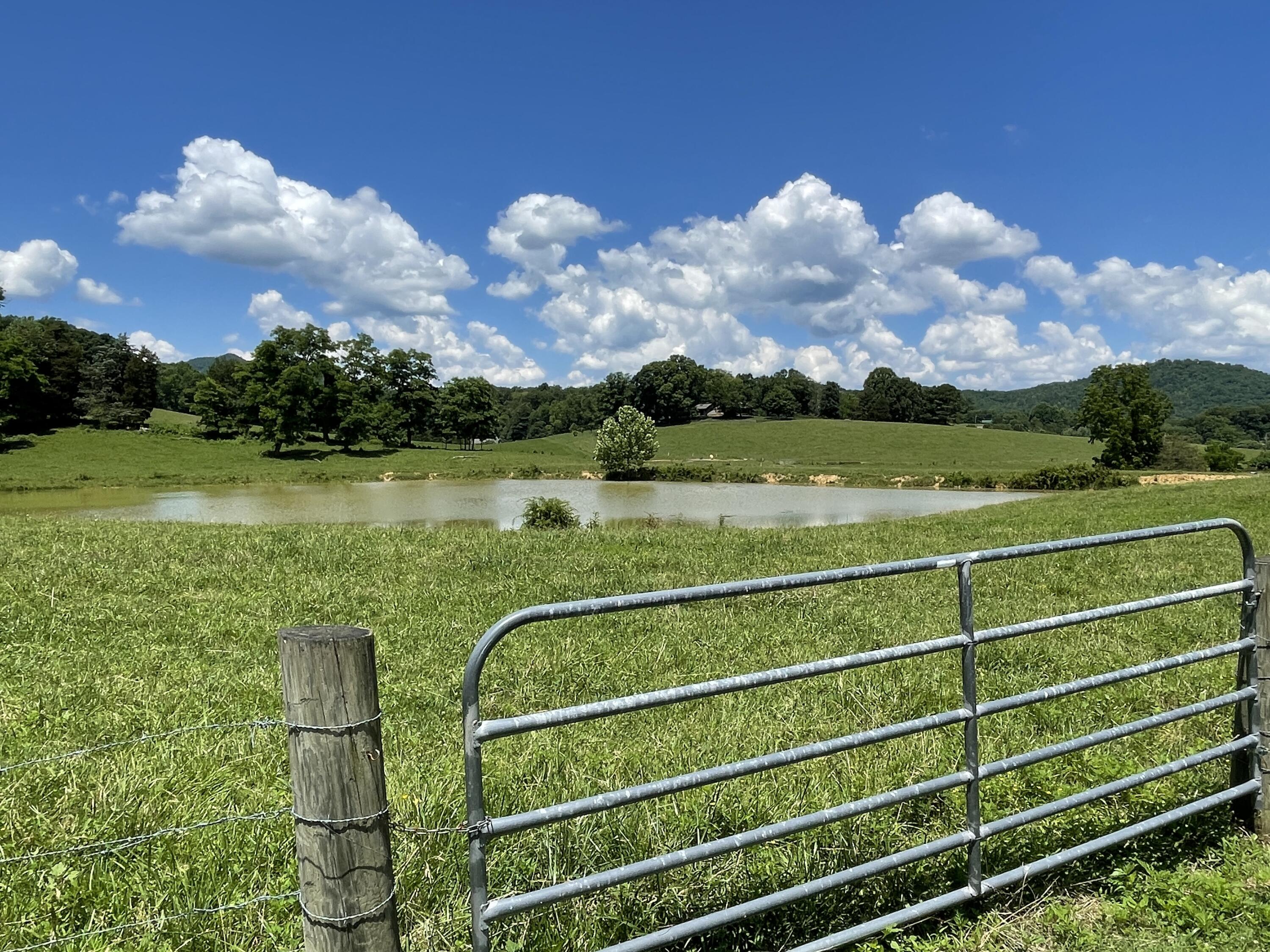 3816 Abbott Road Sevierville, TN 37862 - Photo 6 of 29 Abbott - pond view