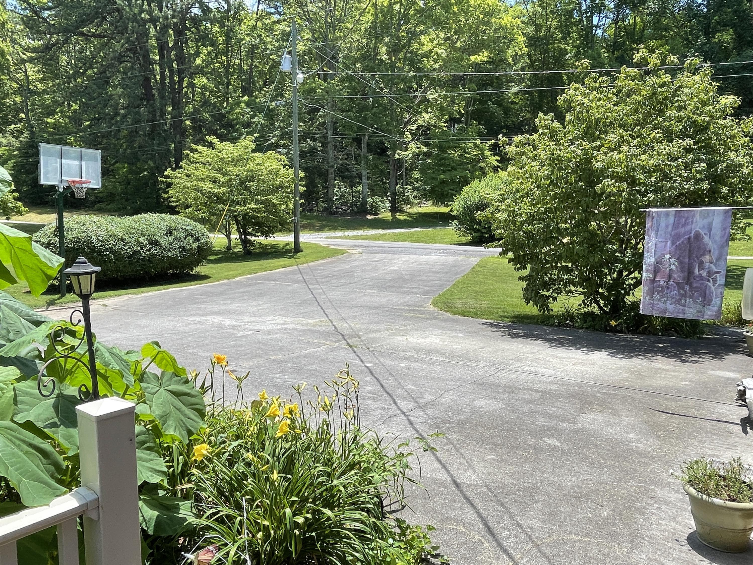 3816 Abbott Road Sevierville, TN 37862 - Photo 10 of 29 Abbott - driveway