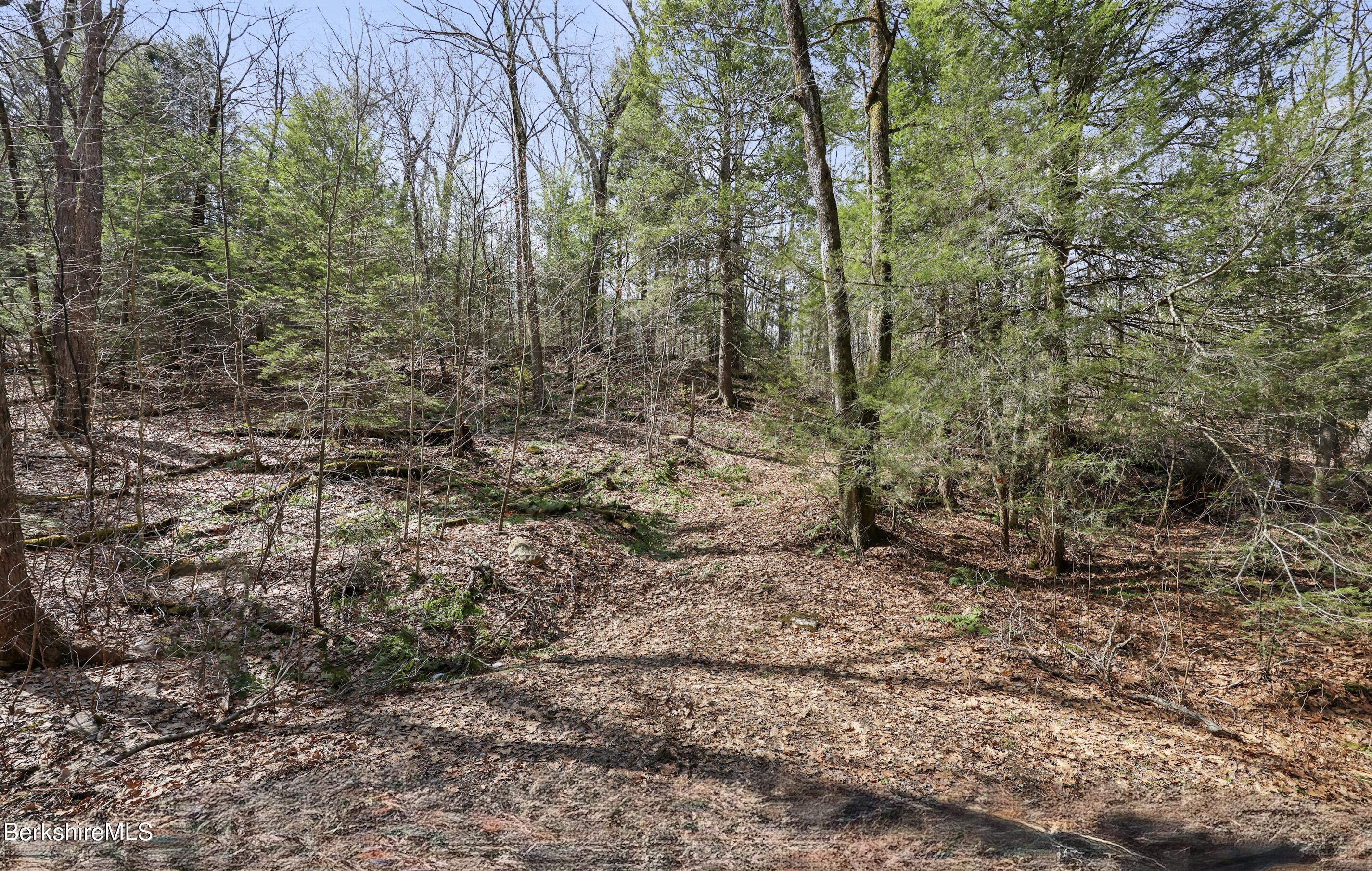8 Hemlock Road Tyringham, MA 01264 - Photo 2 of 12 a view of a forest with trees