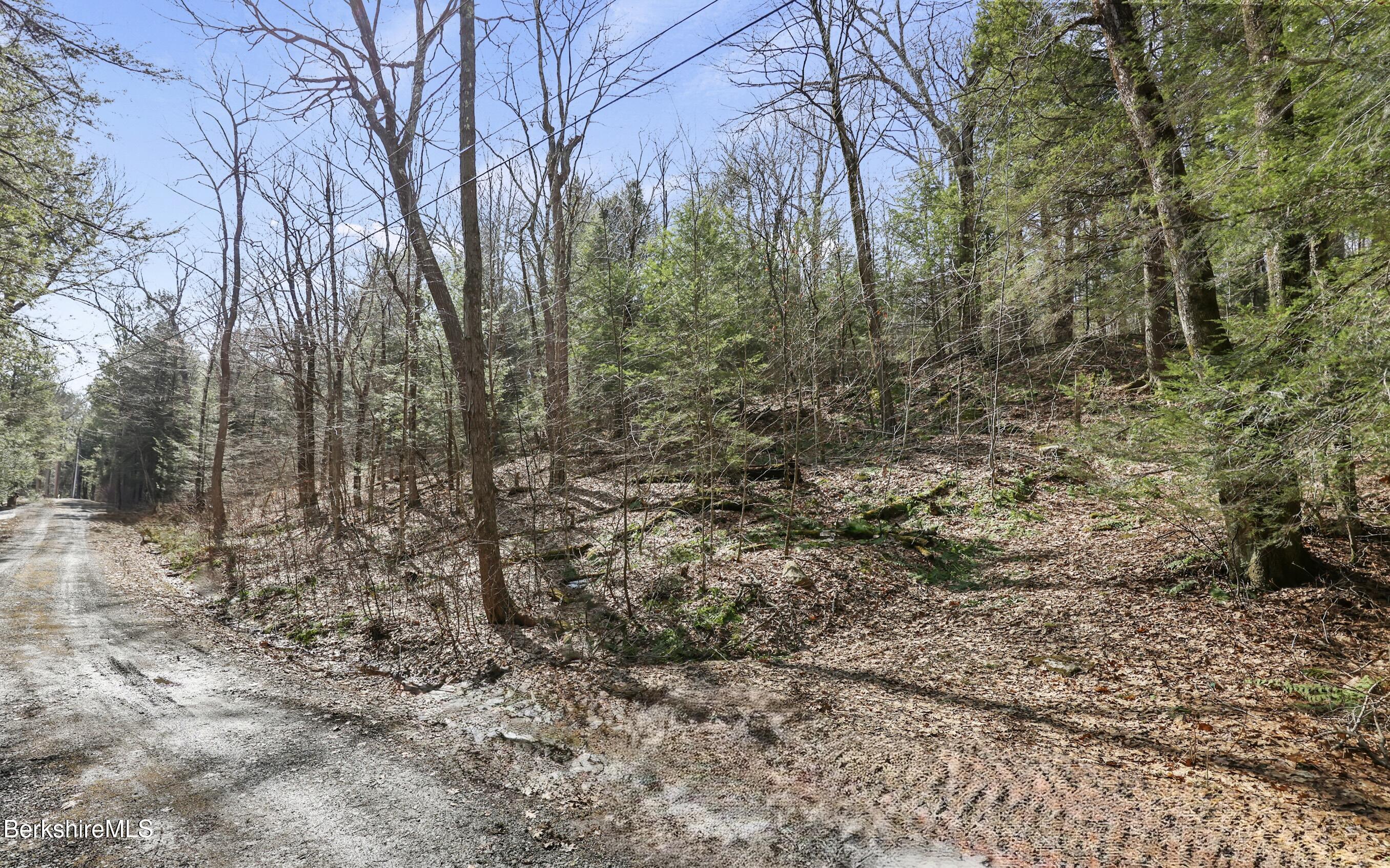 8 Hemlock Road Tyringham, MA 01264 - Photo 3 of 12 a view of a yard with large trees