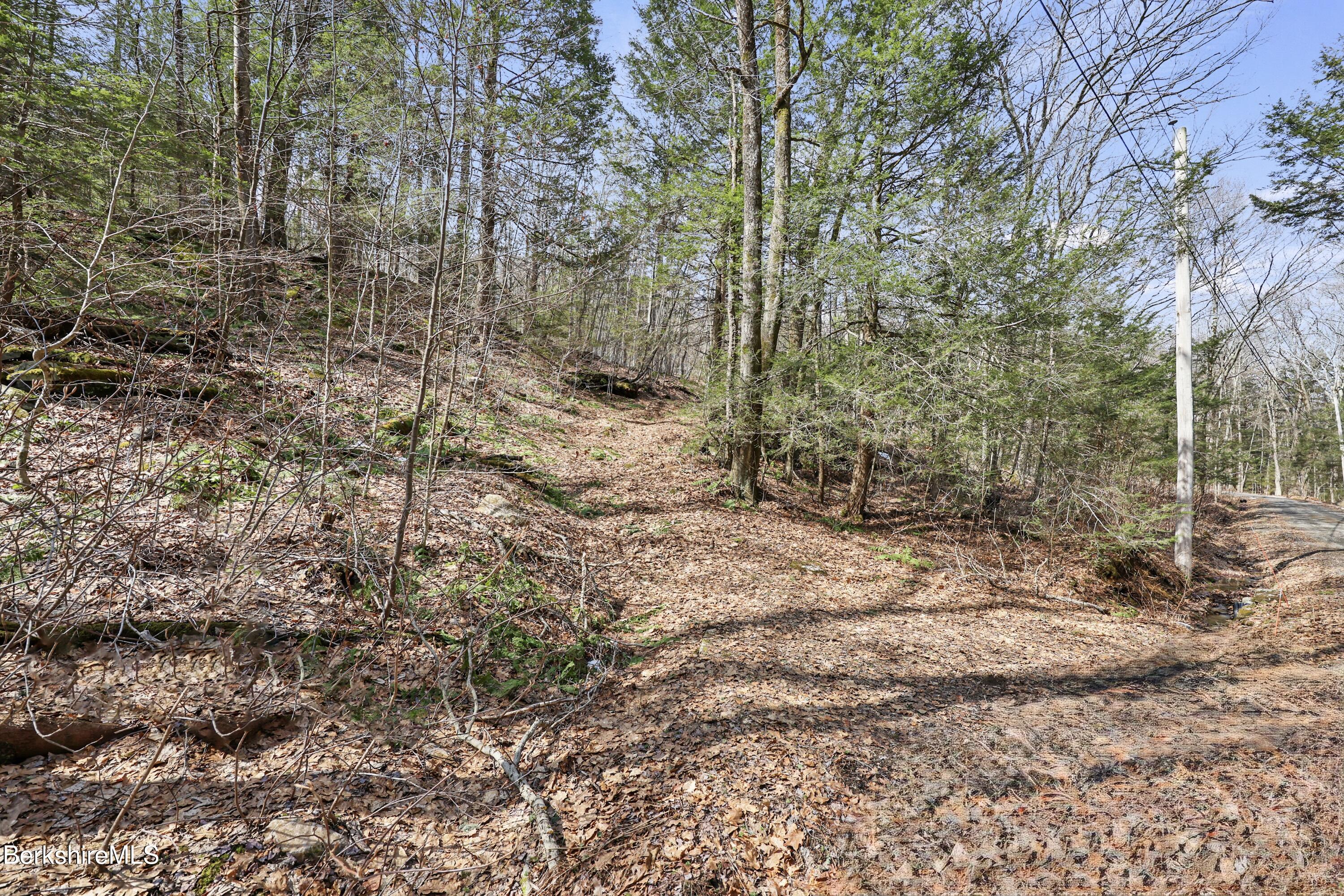 Lot #6 Hemlock Road Tyringham, MA 01264 - Photo 3 of 12 Ground view