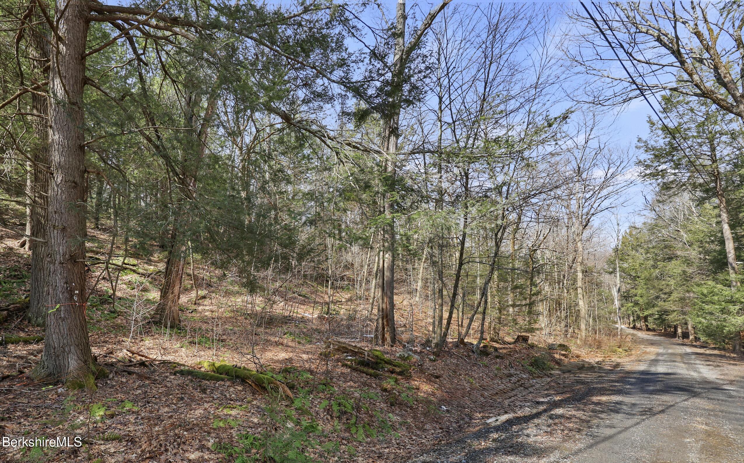 8 Hemlock Road Tyringham, MA 01264 - Photo 4 of 12 a backyard of a house with lots of green space