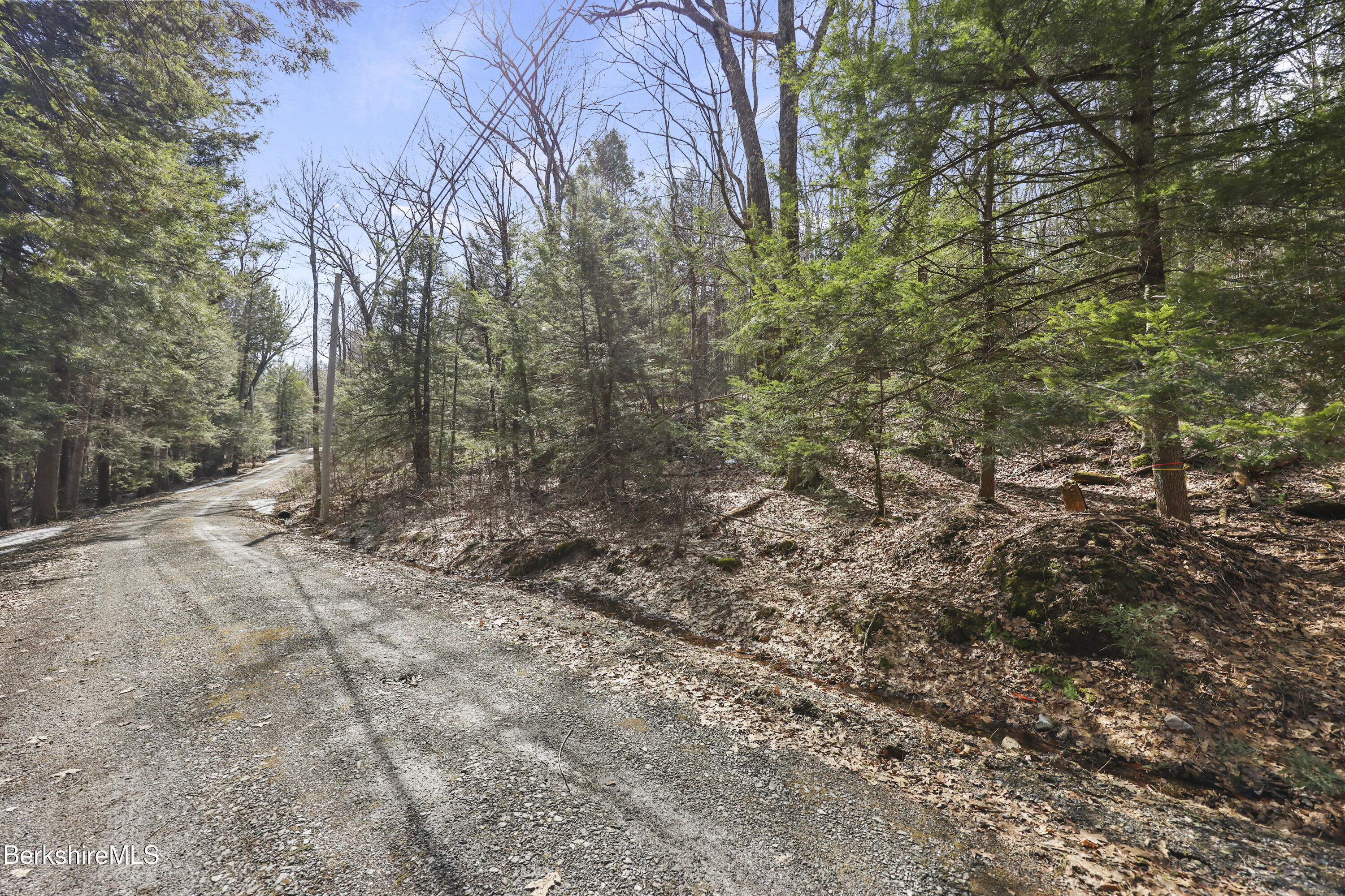 8 Hemlock Road Tyringham, MA 01264 - Photo 6 of 12 a view of a forest with trees in the background