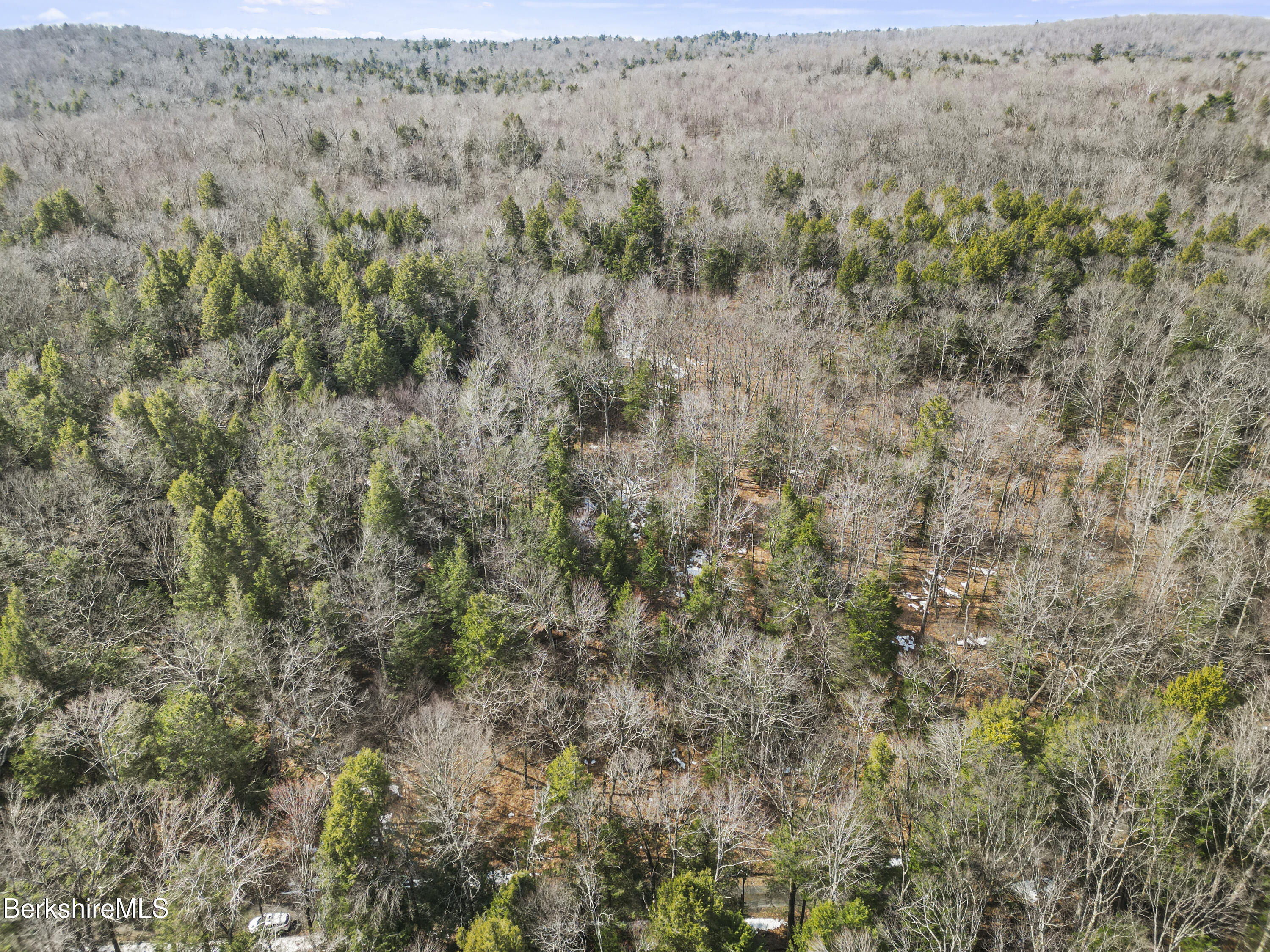 8 Hemlock Road Tyringham, MA 01264 - Photo 9 of 12 an aerial view of forest