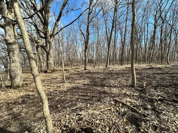 $225,000 | 1115 350th Avenue, Farwell, MN 56327