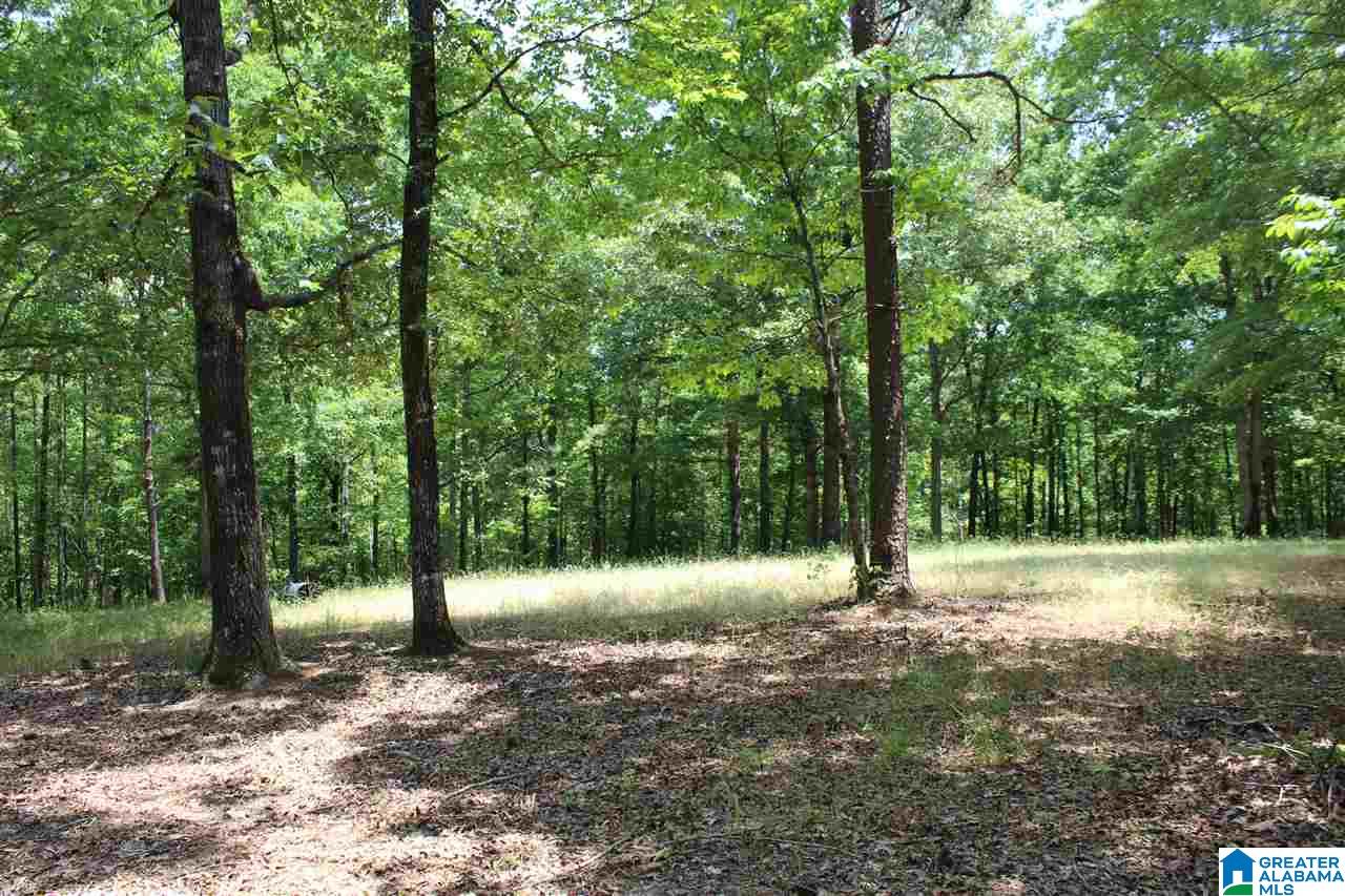 1652 County Road 101 Kellyton, AL 35089 - Photo 19 of 28