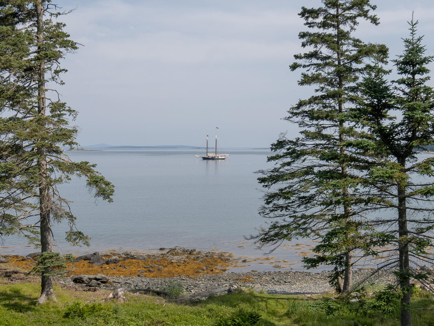 43 Steamboat Road Swans Island, ME 04685 - Photo 36 of 43 Waterfront