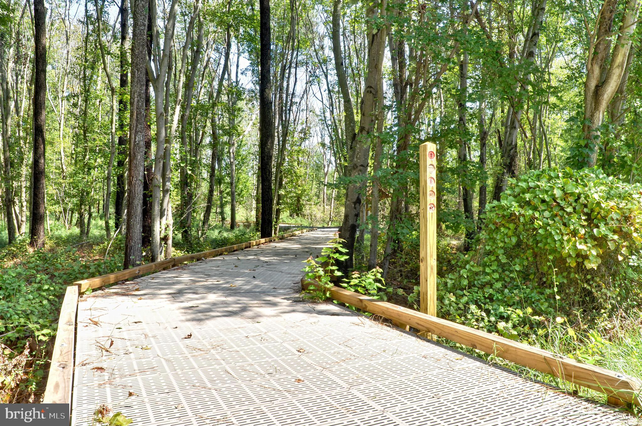 30611 Cedar Neck Road, Unit 2103 Ocean View, DE 19970 - Photo 41 of 44 Fresh Pond walking paths nearby