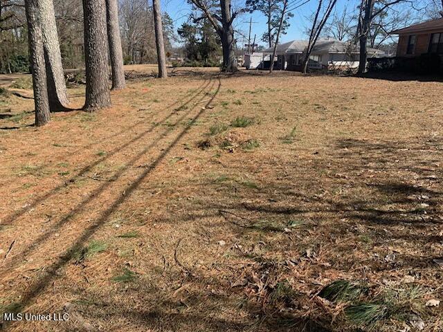 621 Middleton Road Winona, MS 38967 - Photo 6 of 39 6