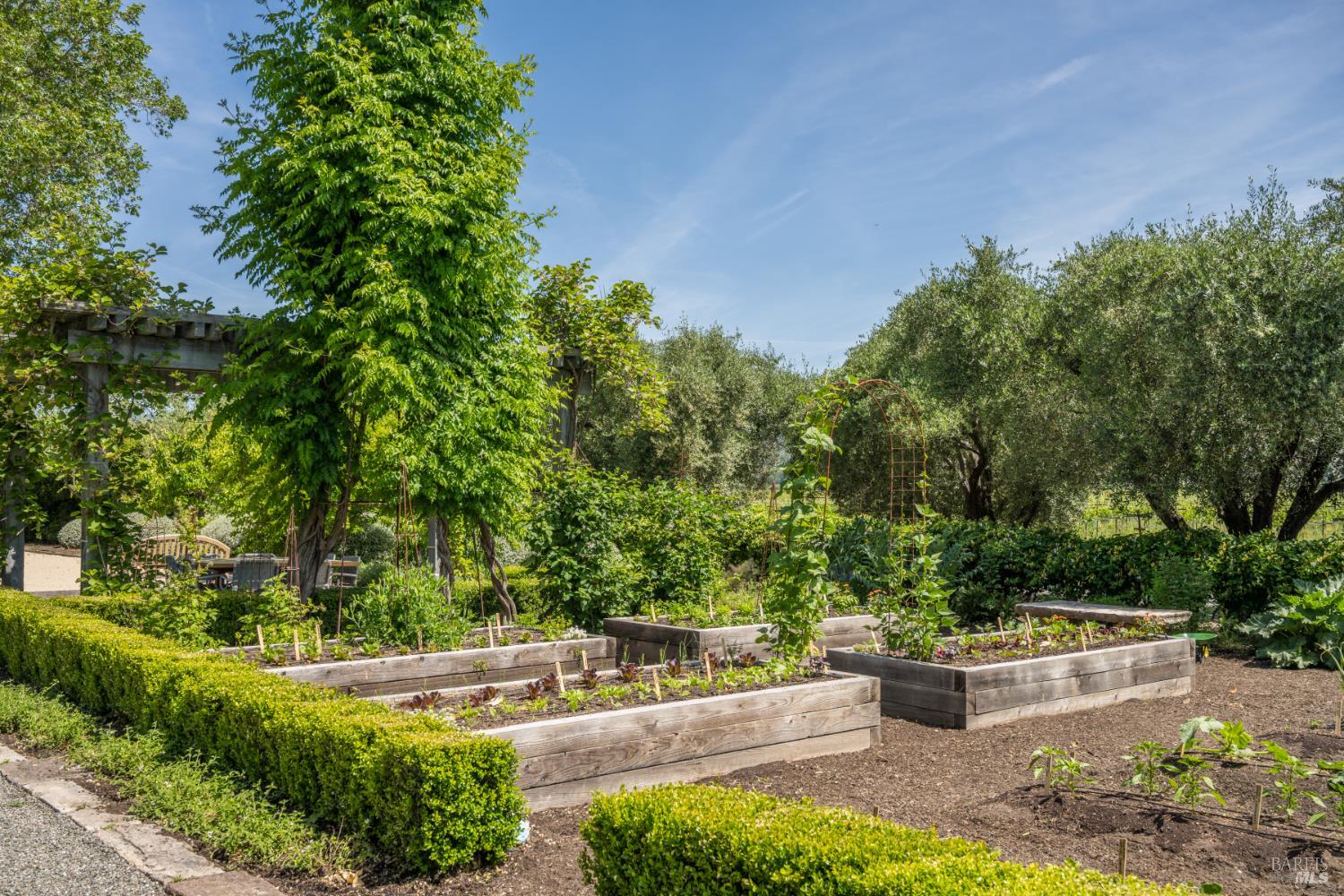 900 Rutherford Road St. Helena, CA 94574 - Photo 47 of 70