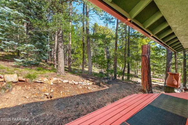a view of a backyard with large trees