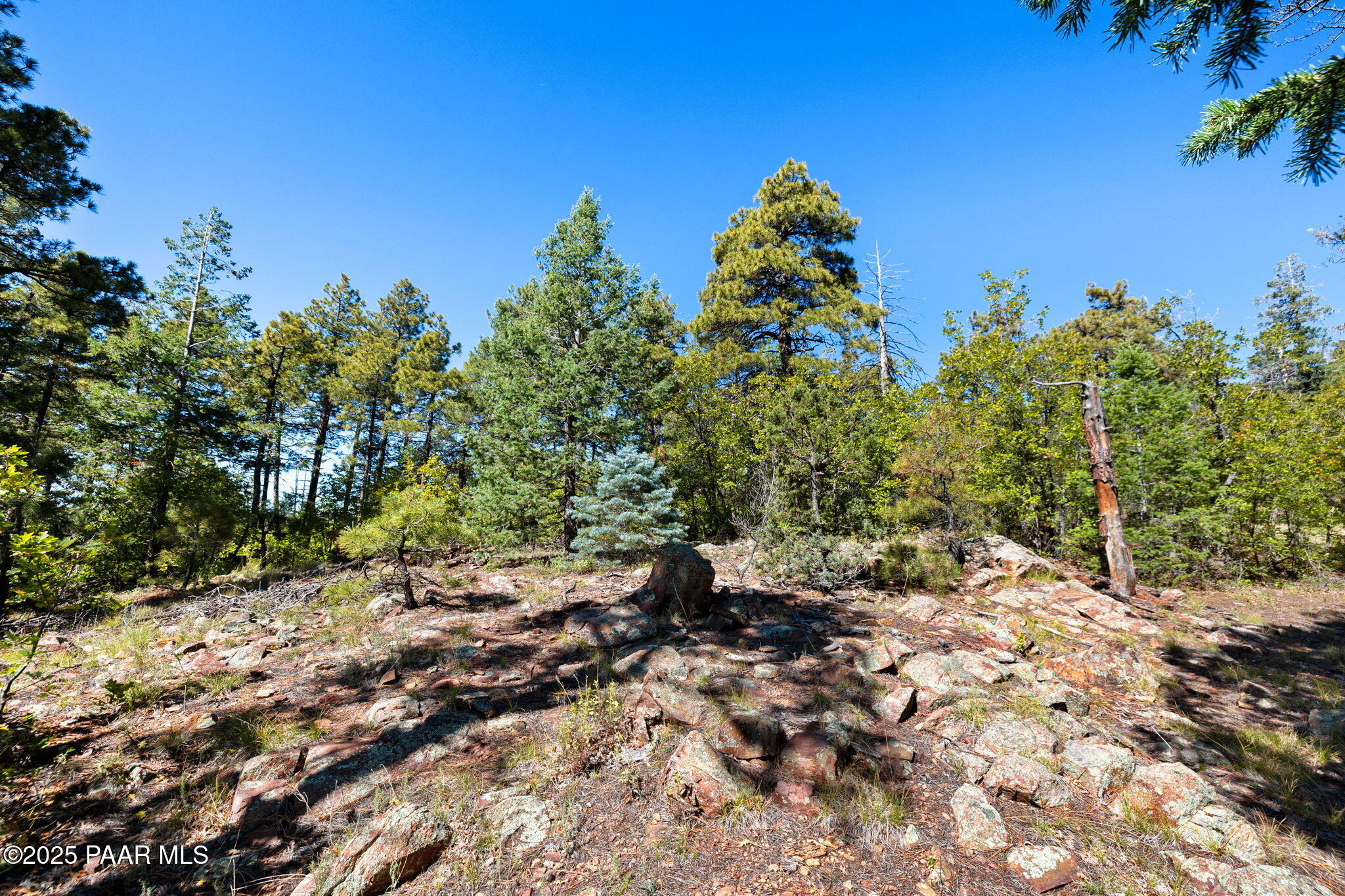 318 East Poland Road Prescott, AZ 86303 - Photo 19 of 28 a backyard of a house with lots of green space