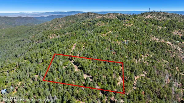 a view of a lush green field