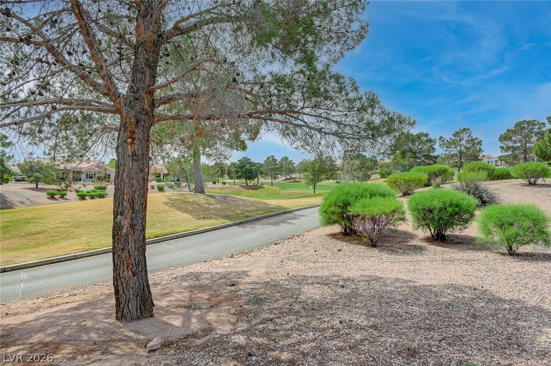 10121 Villa Ridge Drive Las Vegas, NV 89134 - Photo 16 of 81