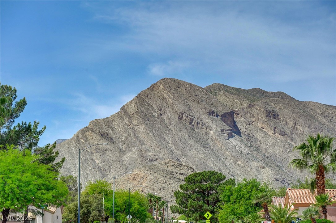 10121 Villa Ridge Drive Las Vegas, NV 89134 - Photo 20 of 81