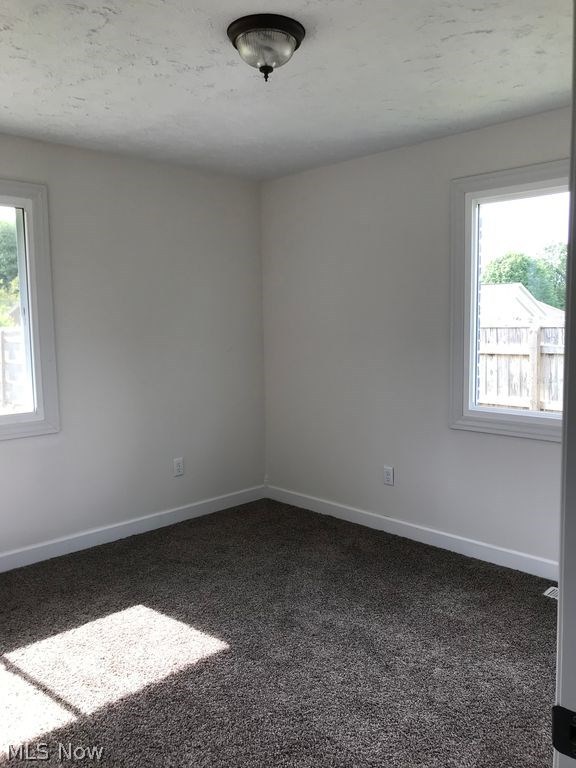 3117 Stroup Road Atwater, OH 44201 - Photo 19 of 30 Gallery Image 19