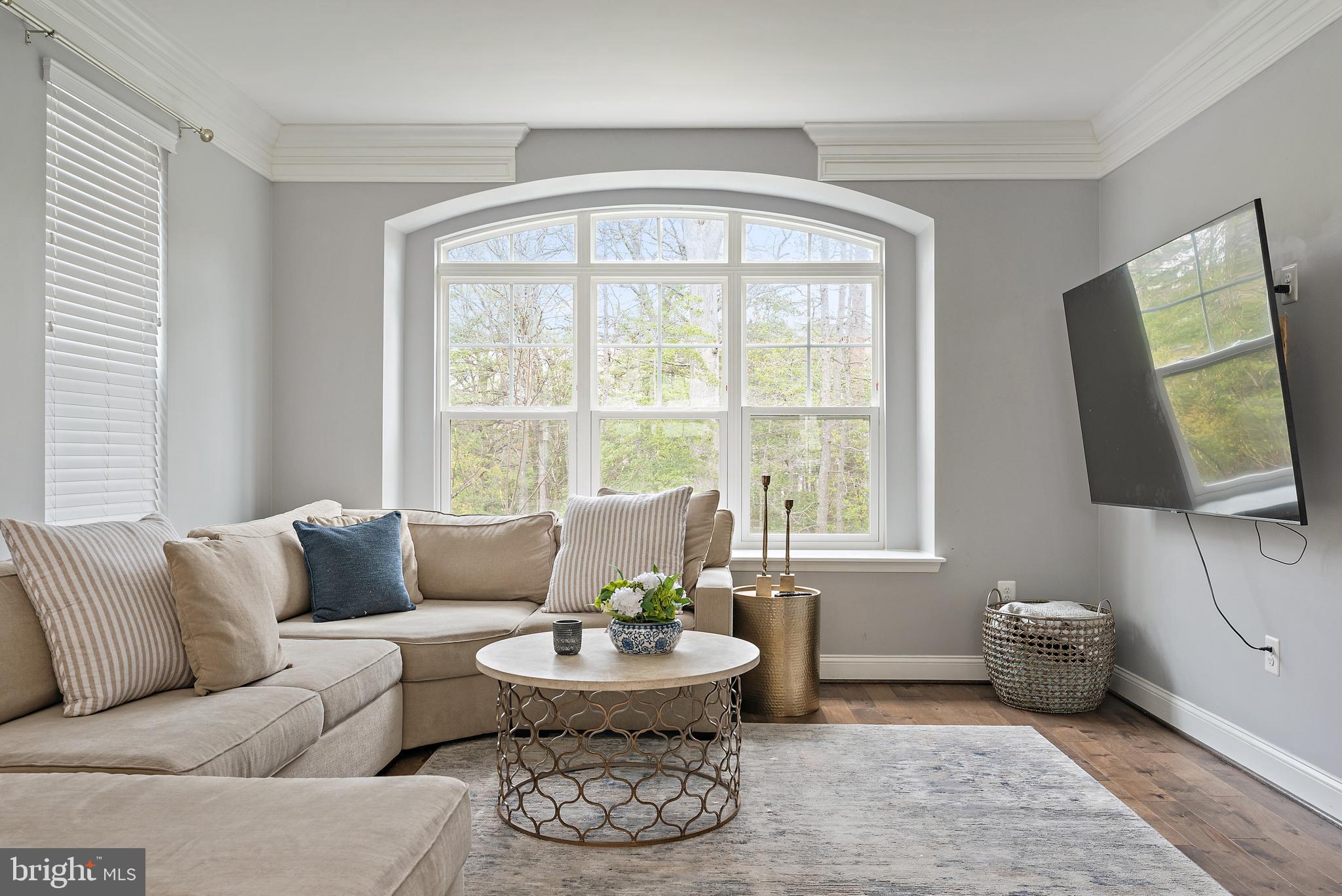 1614 Belle Drive Annapolis, MD 21401 - Photo 5 of 36 a living room with furniture and a window