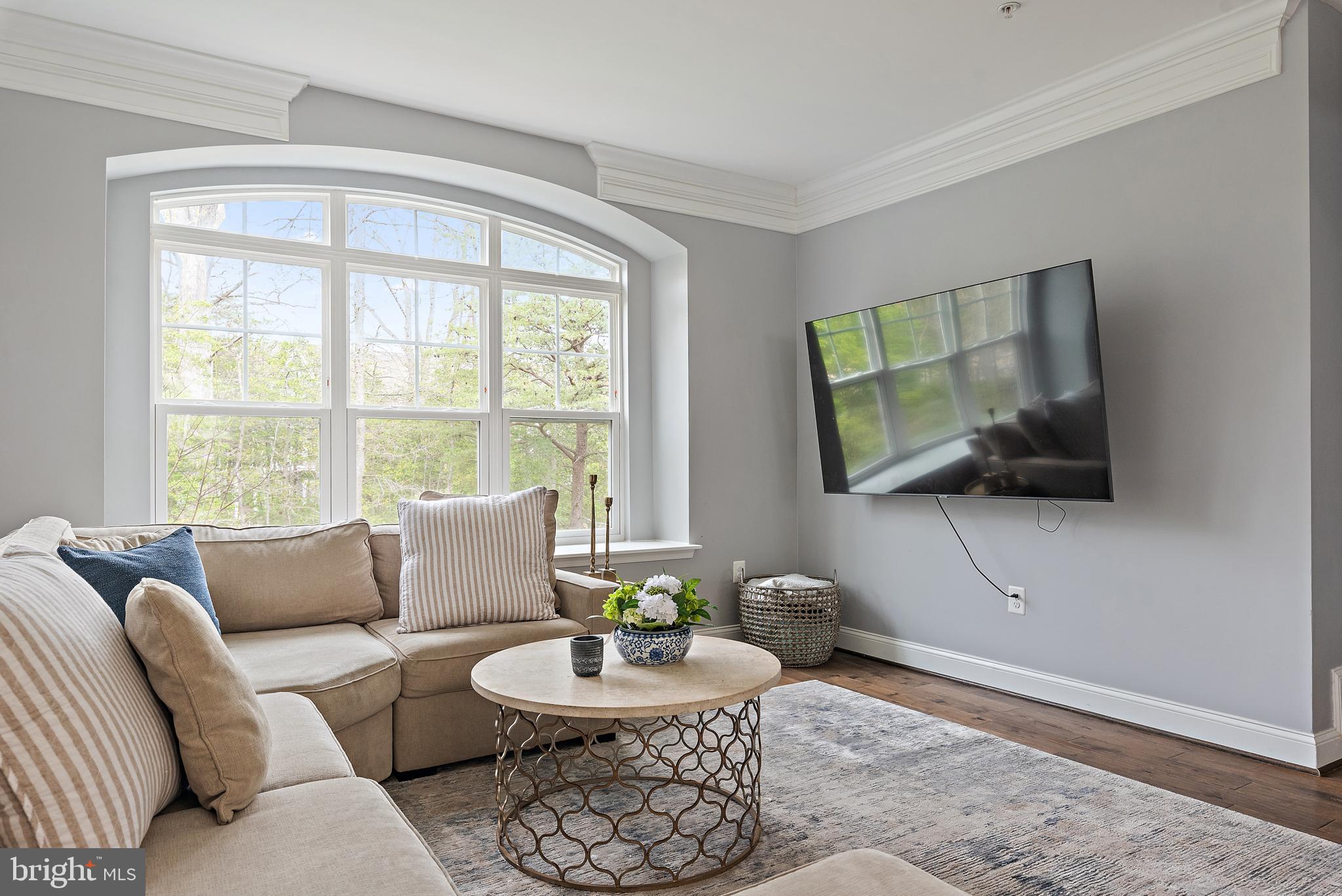 1614 Belle Drive Annapolis, MD 21401 - Photo 7 of 36 a living room with furniture a flat screen tv and a window