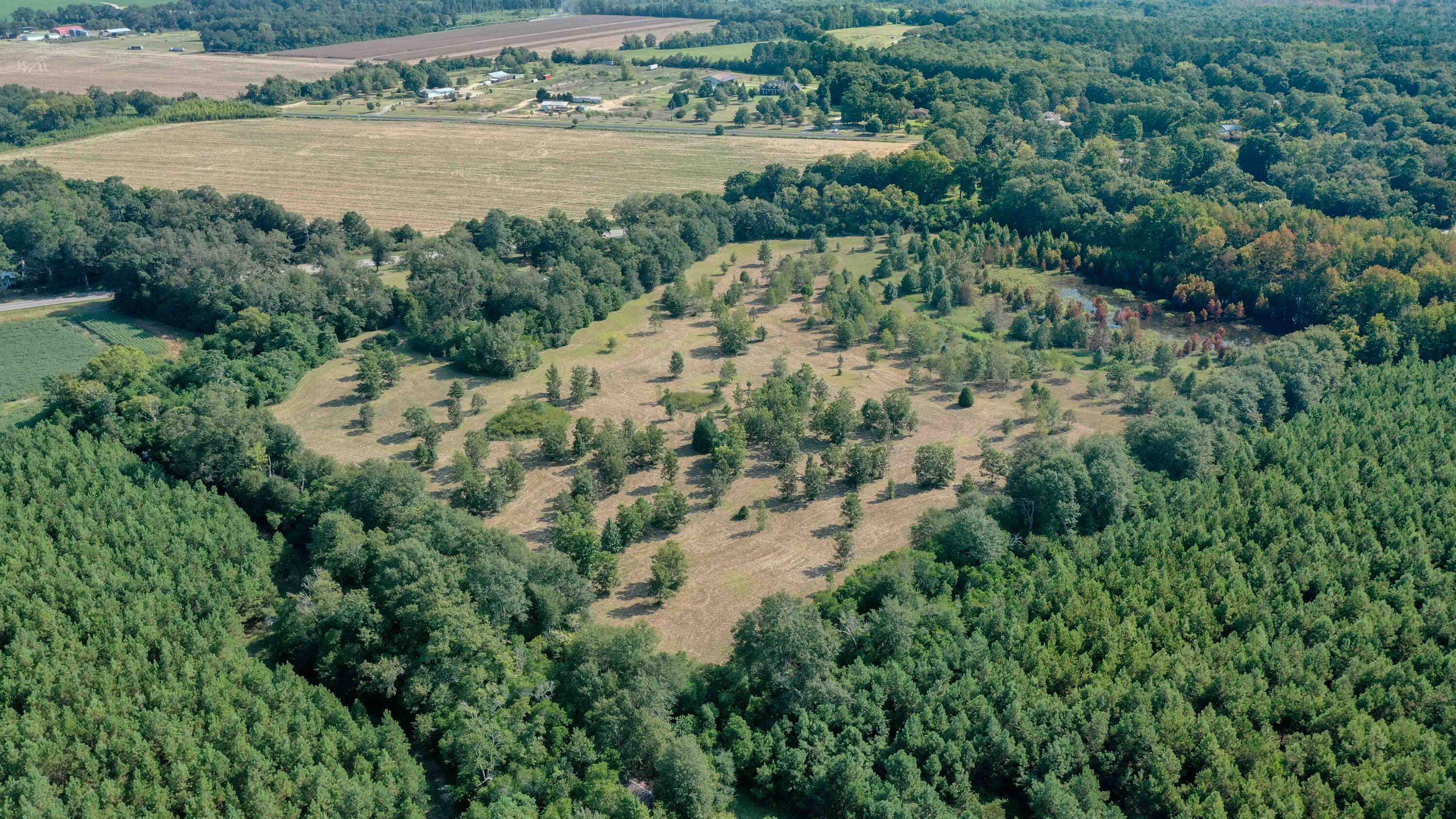 3242 Surrey Race Road Springfield, SC 29146 - Photo 11 of 32