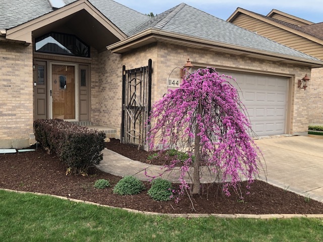 1144 Trinity Drive Addison, IL 60101 - Photo 2 of 21 a front view of a house with garden