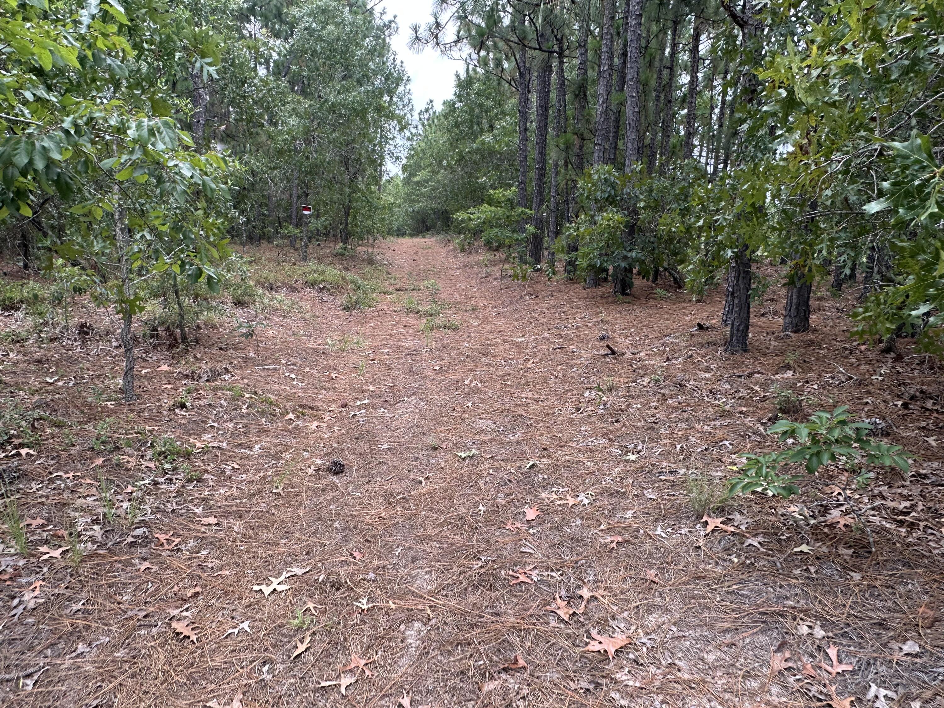 2070 Greenland Road Blythe, GA 30805 - Photo 4 of 4 IMG_6015