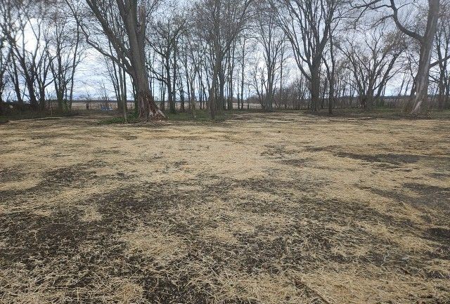 4474 North 1650 Road East Ridge Farm, IL 61870 - Photo 3 of 4 a view of a yard