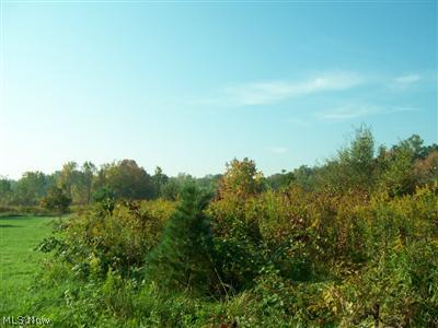 Fairgrounds Road Atwater, OH 44201 - Photo 1 of 1