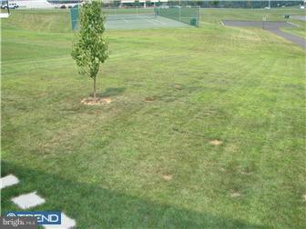 232 North Sandy Lane Sinking Spring, PA 19608 - Photo 7 of 8