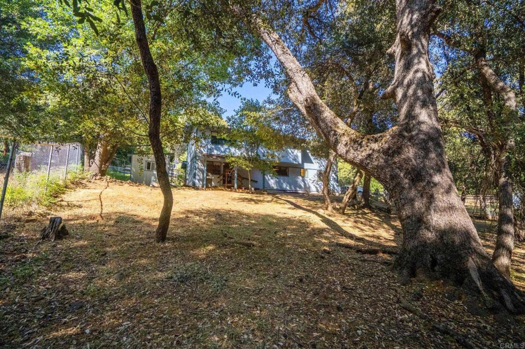 5041 Pine Ridge Avenue Julian, CA 92036 - Photo 22 of 27 a view of a yard with a tree