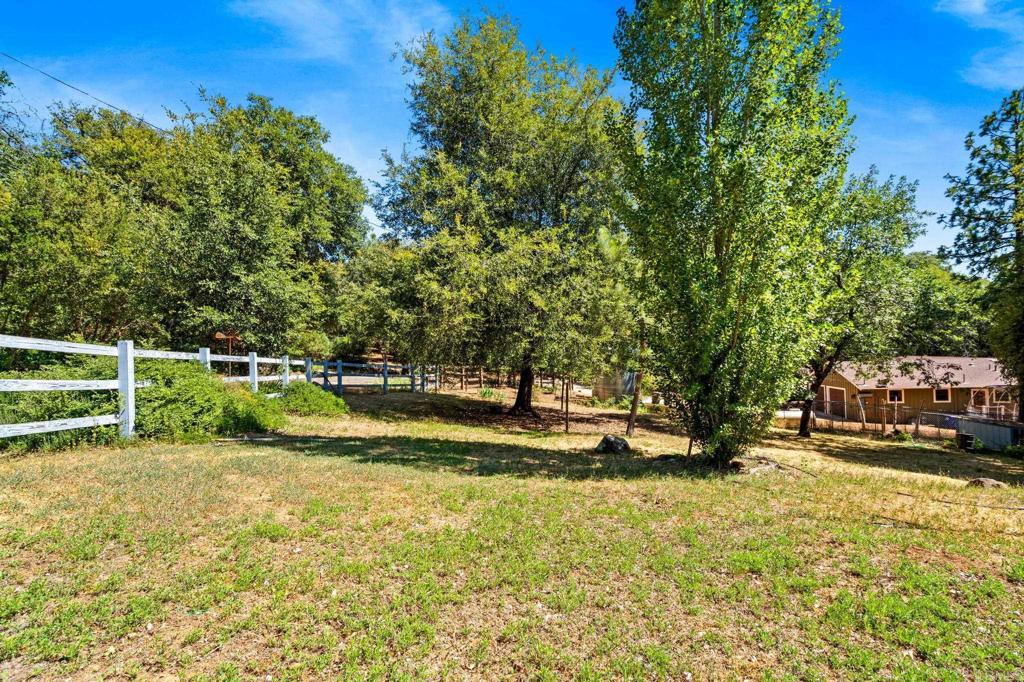 5041 Pine Ridge Avenue Julian, CA 92036 - Photo 6 of 27 a view of a yard with swimming pool